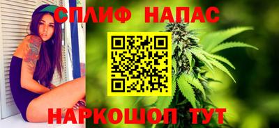 стаф Малгобек