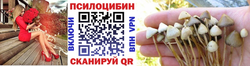 наркотики  Керчь  Галлюциногенные грибы MAGIC MUSHROOMS 