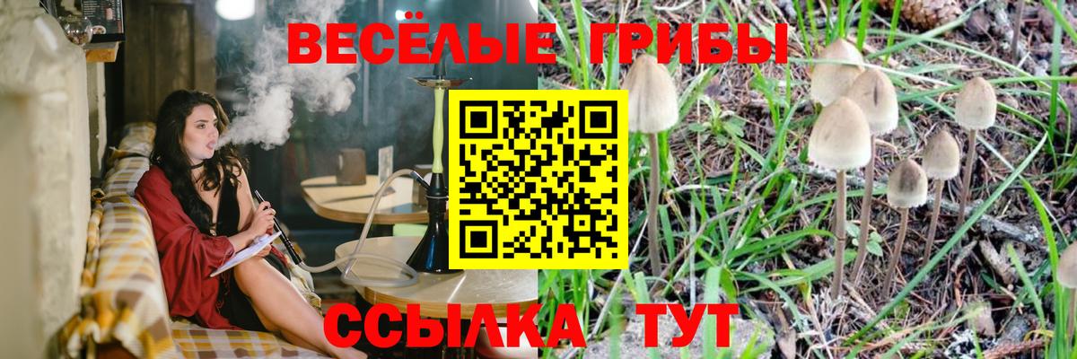 Галлюциногенные грибы прущие грибы Керчь