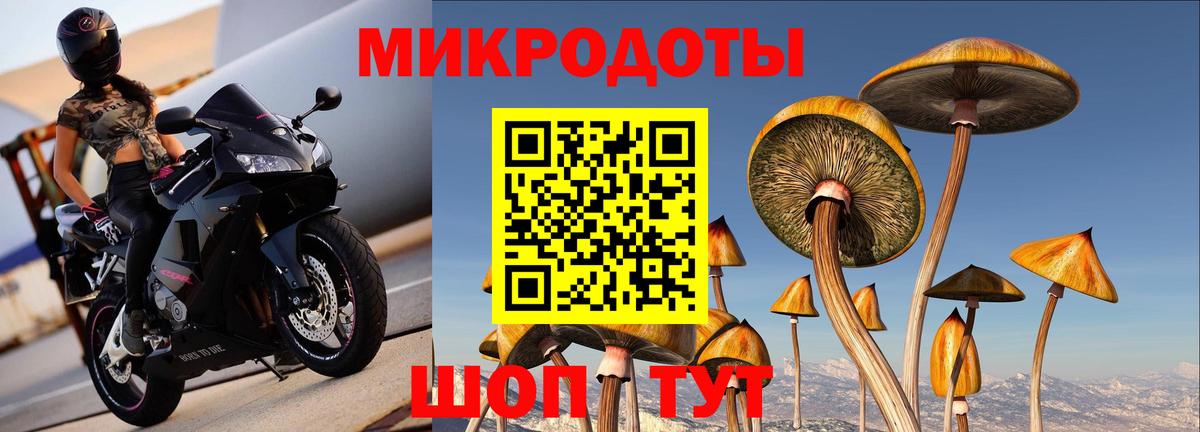 Псилоцибиновые грибы MAGIC MUSHROOMS  Галлюциногенные грибы мицелий  Керчь  Вход с VPN 